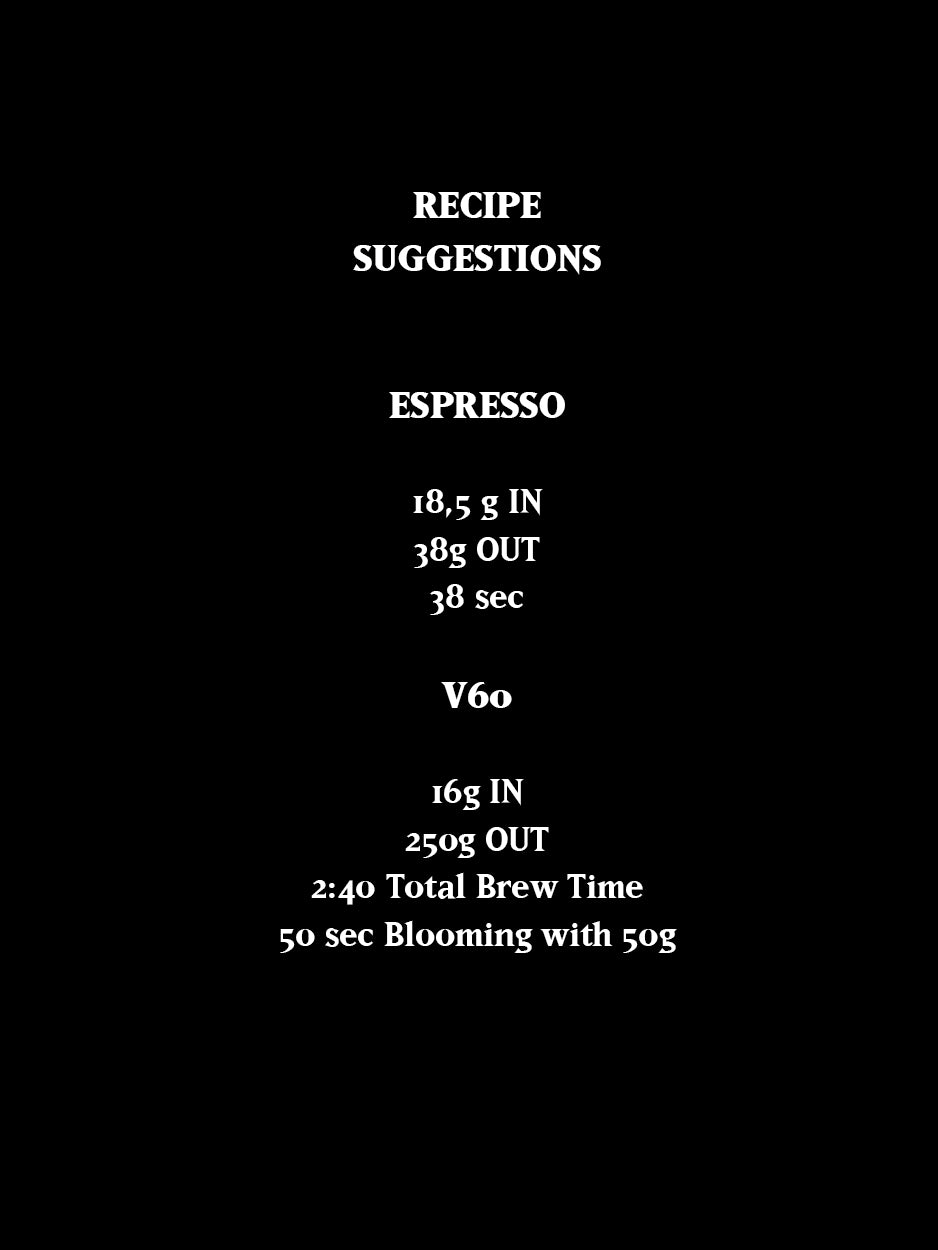 BENTI NENKA, ETHIOPIA, DRY ANAEROBIC *MAD PROFESSOR*