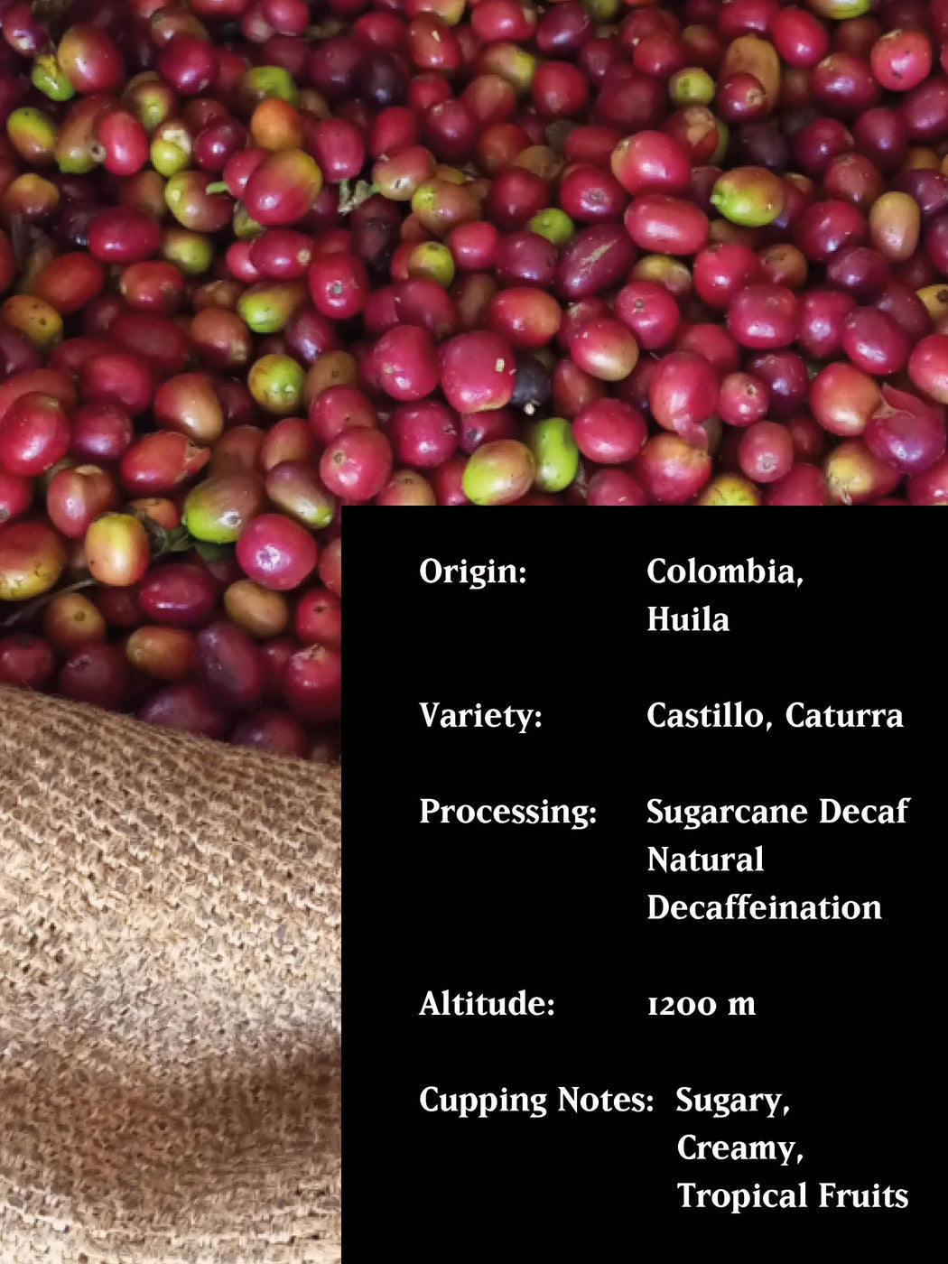 DECAF DE CAÑA, COLOMBIA, DECAF