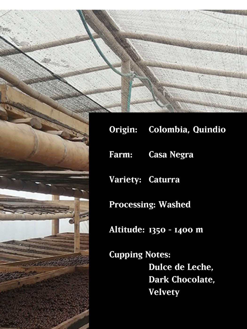 PANINARO, COLOMBIA, WASHED