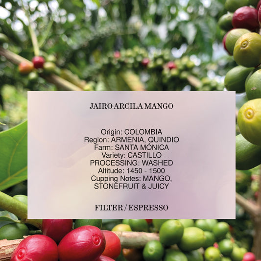 JAIRO ARCILA MANGO, COLOMBIA, WASHED *ANOMALY EDITION*