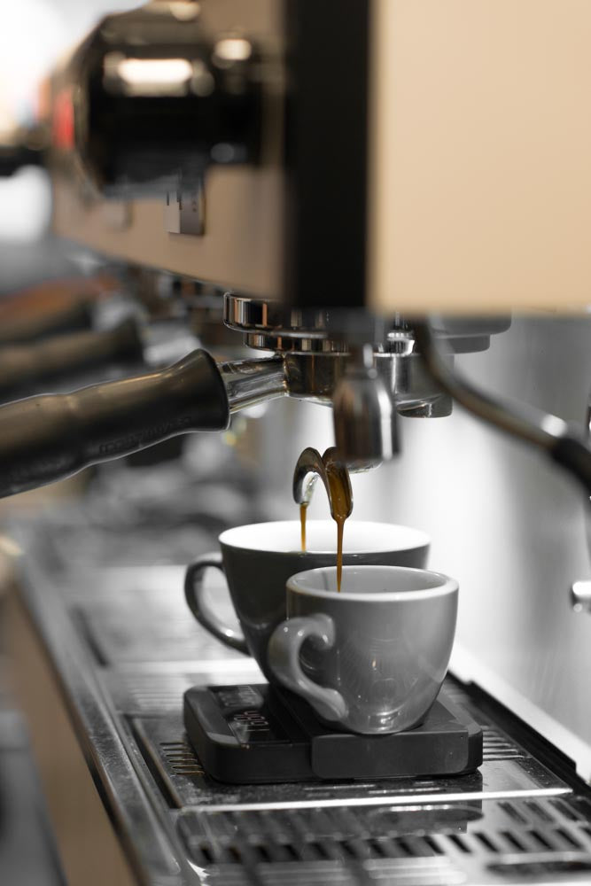 MVSM CLASS BARISTA BASIC