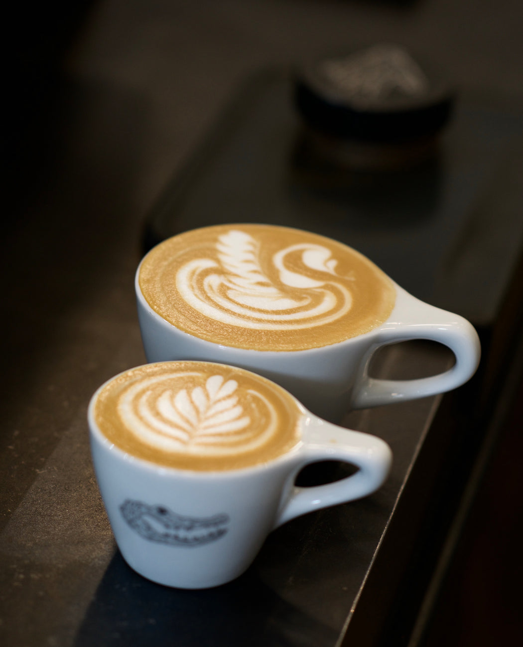 MVSM CLASS LATTE ART