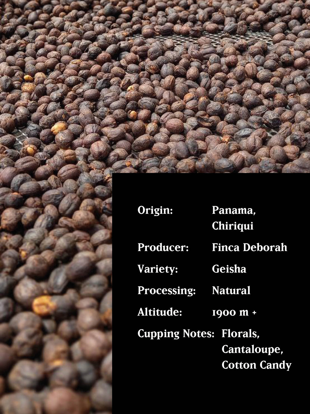 *G O A T  EDITION* 100 G - FINCA DEBORAH AFTERGLOW, PANAMA, NATURAL - PRE-ORDER ONLY