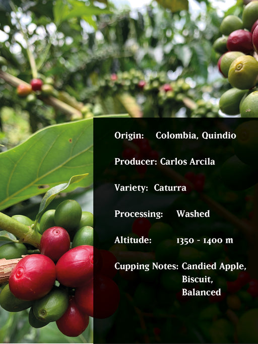 CARLOS ARCILA, COLOMBIA, WASHED