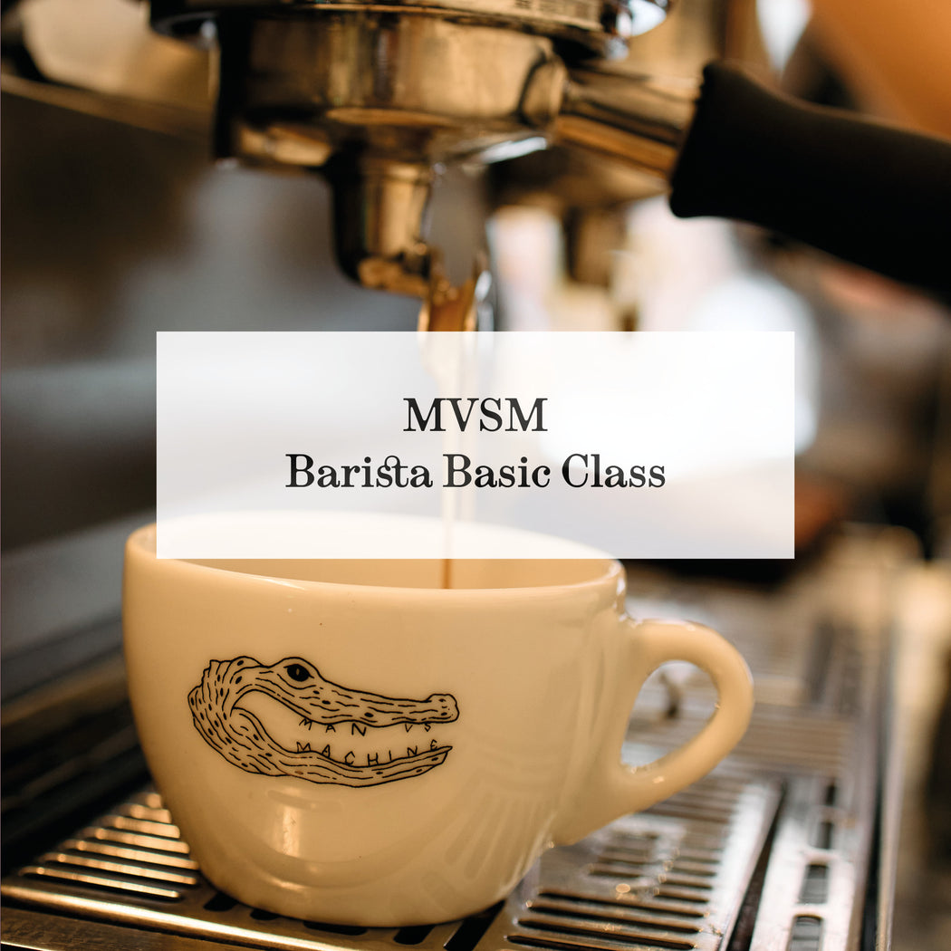 MVSM CLASS BARISTA BASIC