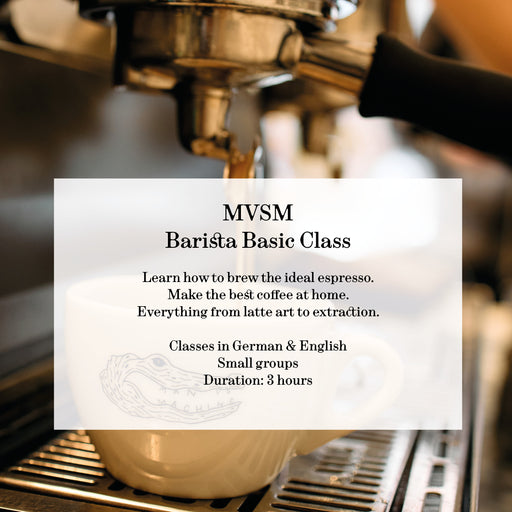 MVSM CLASS BARISTA BASIC