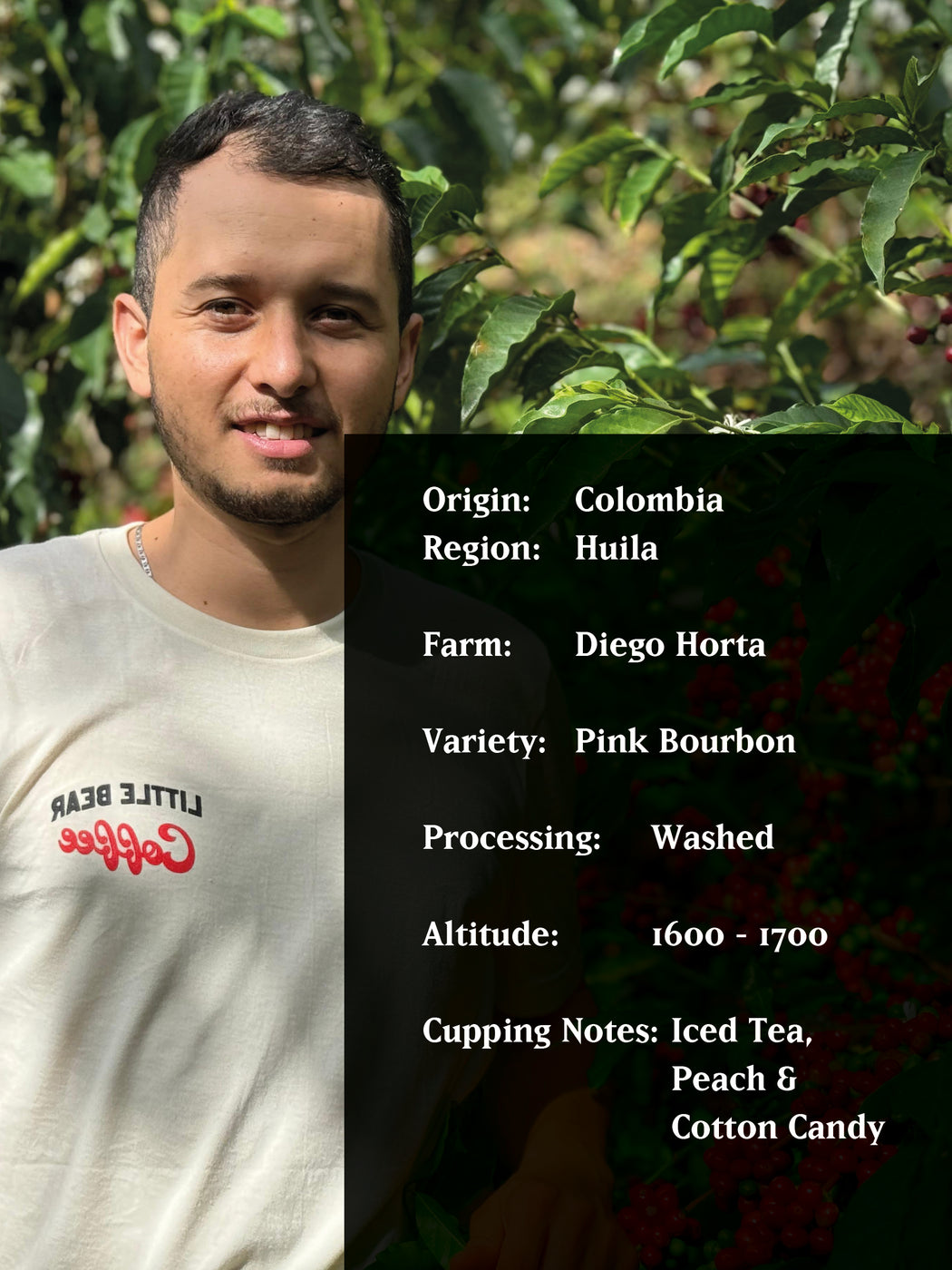 EL RINCÓN, COLOMBIA, WASHED