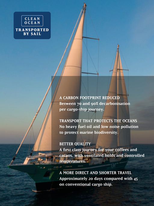 THE FABRICA PROJECT, COLOMBIA, NATURAL, ORGANIC, BY SAIL