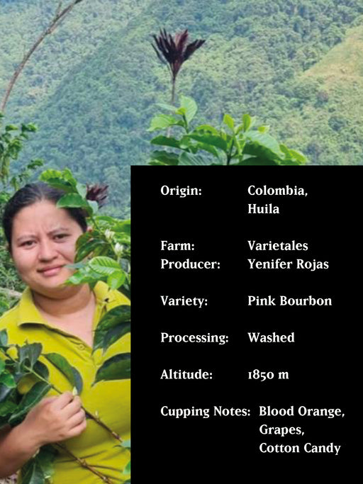 FINCA VARIETALES BY YENIFER ROJAS, COLOMBIA, WASHED