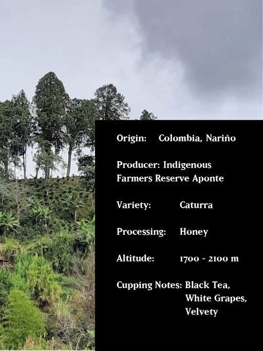 HONEY APONTE, COLOMBIA, HONEY