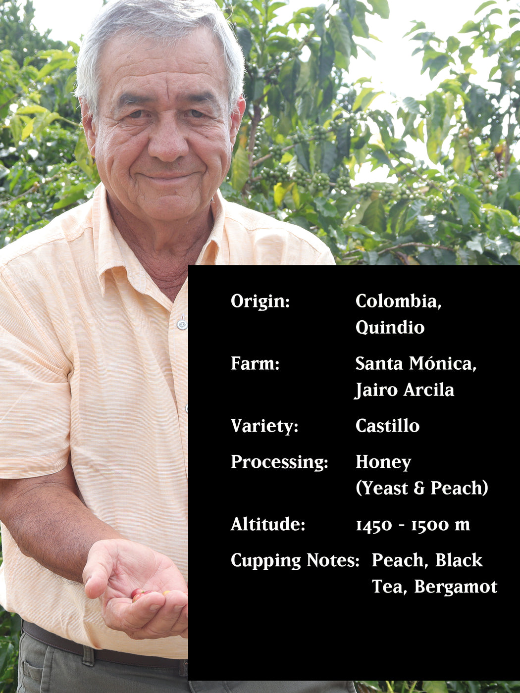 JAIRO ARCILA PEACH, COLOMBIA, HONEY (YEAST / PEACH)