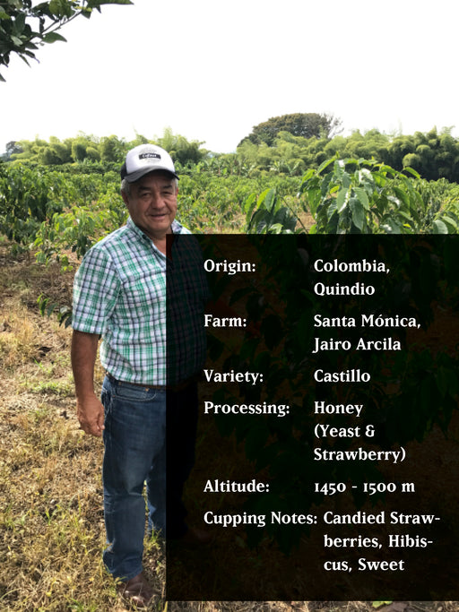 JAIRO ARCILA STRAWBERRY, COLOMBIA, HONEY (YEAST / STRAWBERRY)