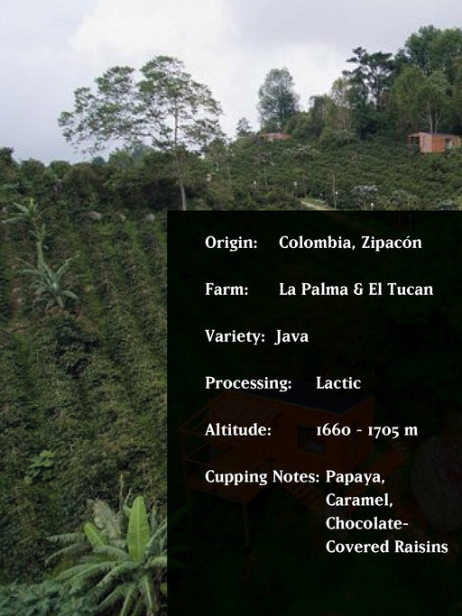 JAVA WARRIOR, COLOMBIA, LIMITED EDITION, 100 G