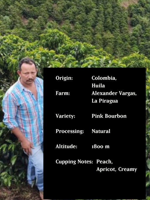 LA PIRAGUA GEISHA, COLOMBIA, WASHED *BLACK DIAMOND*