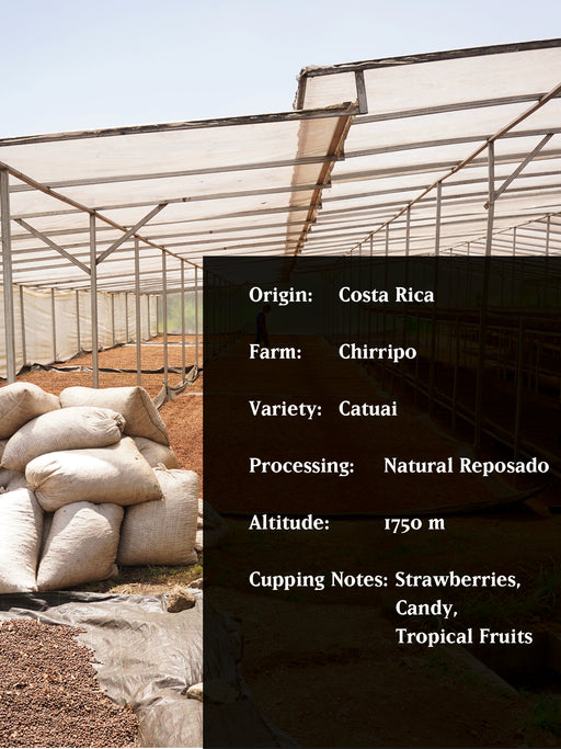 LA BOMBA DE FRUTA, COSTA RICA, NATURAL