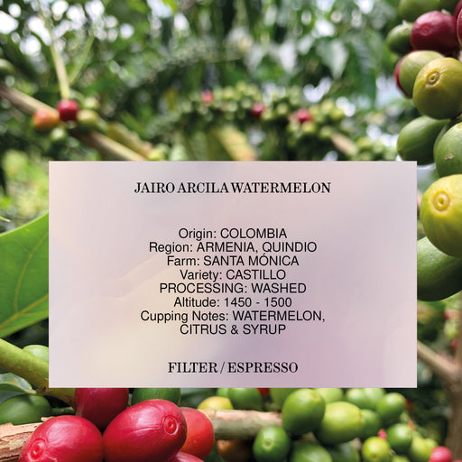 JAIRO ARCILA WATERMELON, COLOMBIA, WASHED *ANOMALY EDITION*