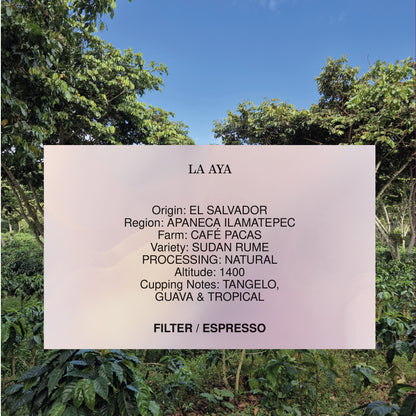 LA AYA, EL SALVADOR, SUDAN RUME *TANTALUM EDITION*