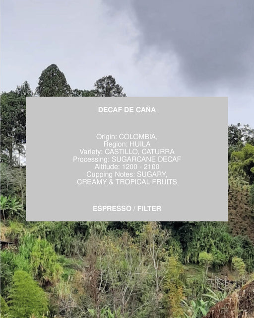 DECAF DE CAÑA, COLOMBIA, SUGARCANE DECAF