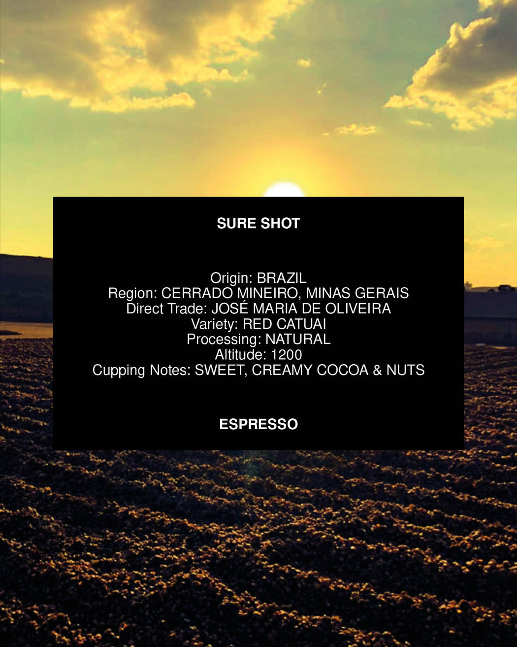 SURE SHOT, BRAZIL, NATURAL