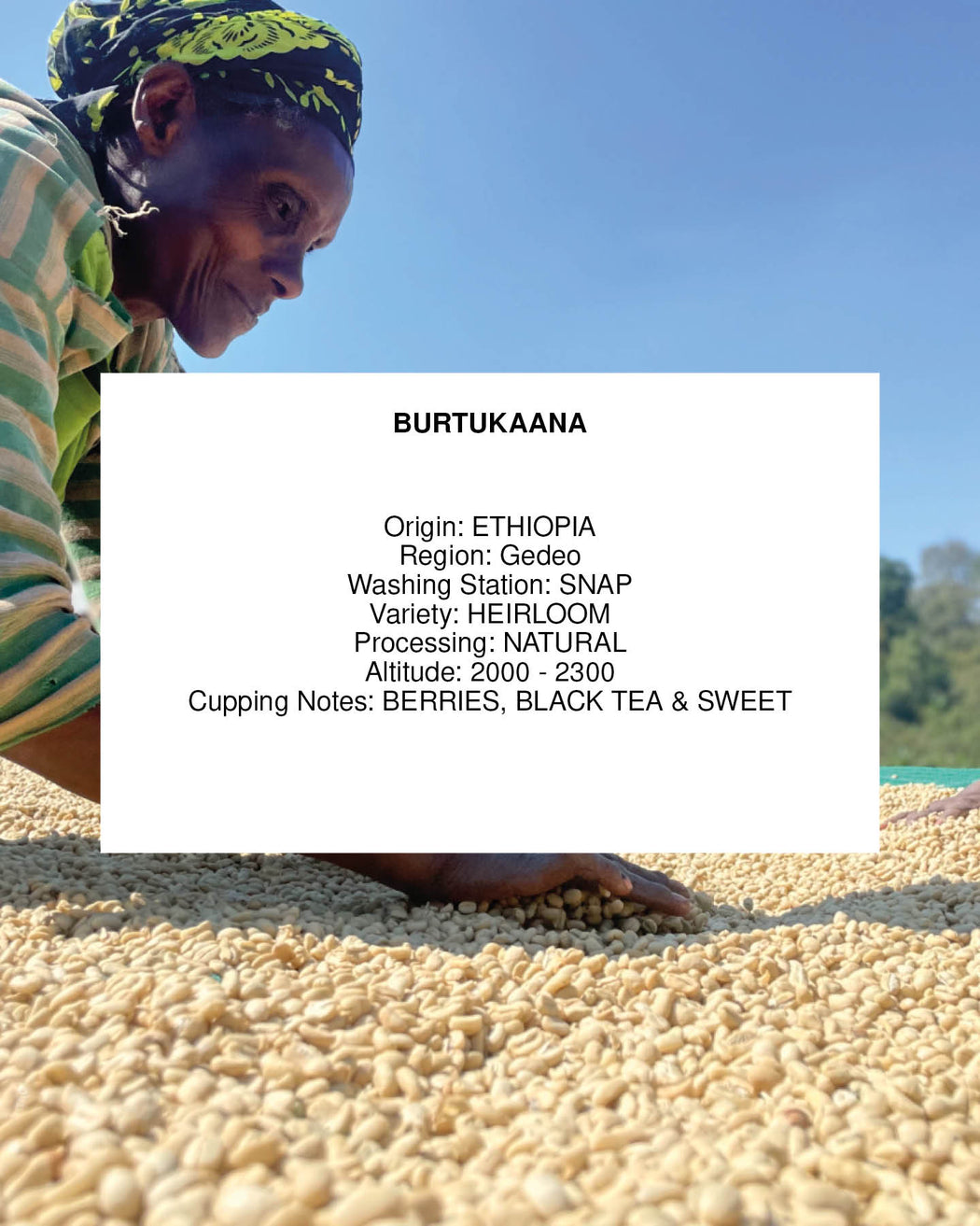 BURTUKAANA, ETHIOPIA, NATURAL, ORGANIC