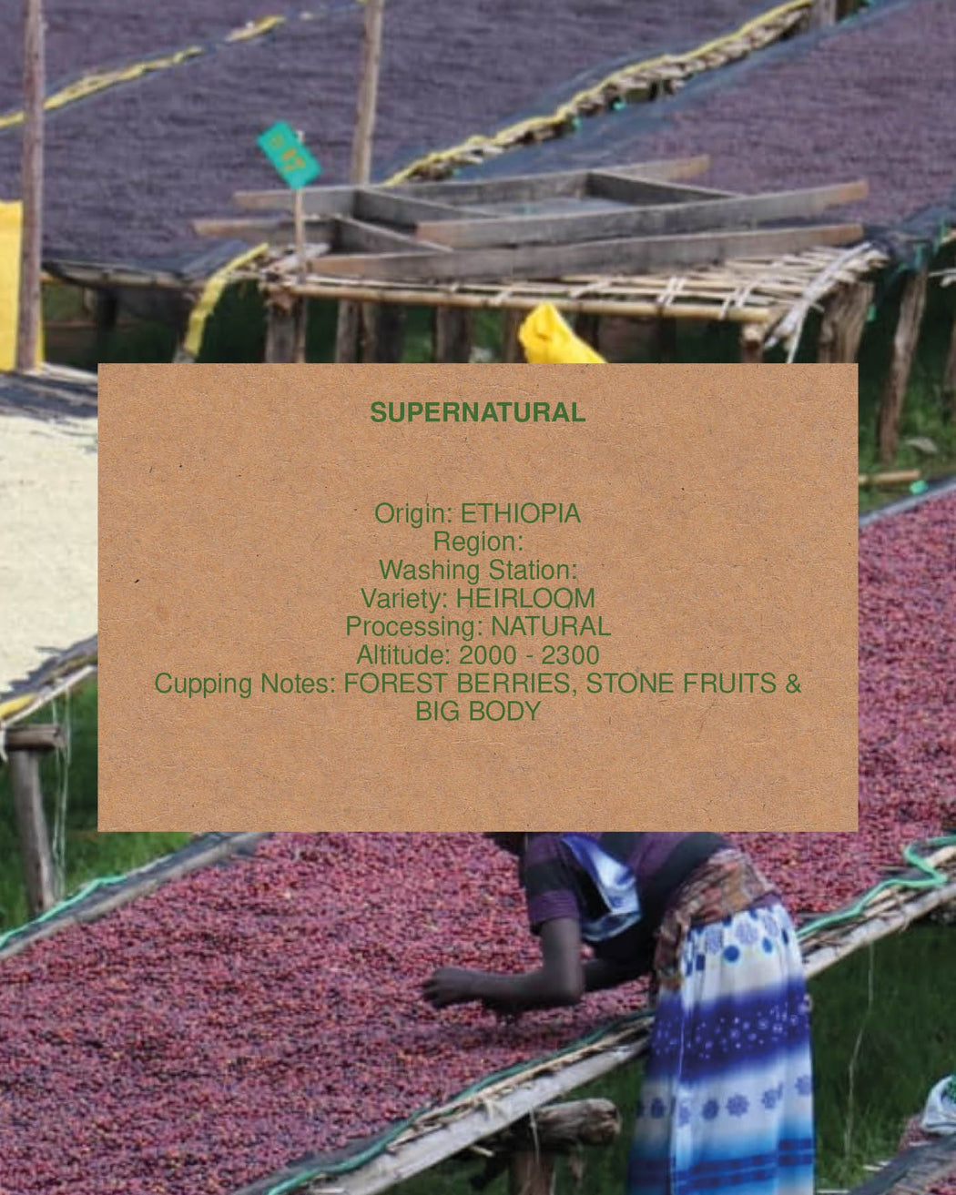 SUPERNATURAL, ETHIOPIA, NATURAL, ORGANIC