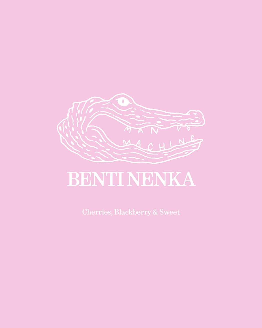 BENTI NENKA, ETHIOPIA, DRY ANAEROBIC *MAD PROFESSOR*