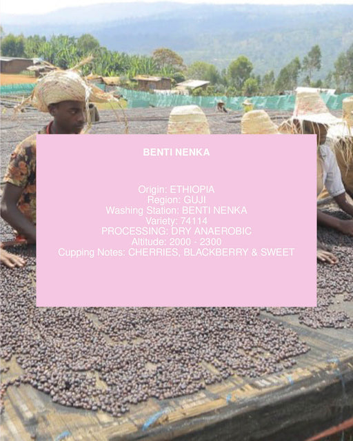 BENTI NENKA, ETHIOPIA, DRY ANAEROBIC
