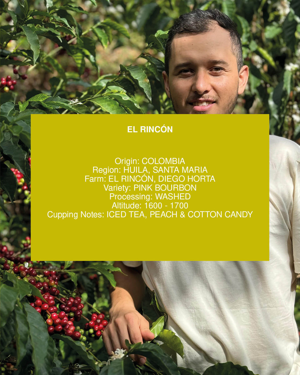 EL RINCÓN, COLOMBIA, WASHED