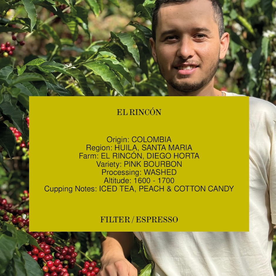 EL RINCÓN, COLOMBIA, WASHED