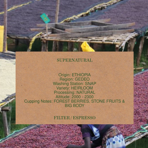 SUPERNATURAL, ETHIOPIA, NATURAL, ORGANIC