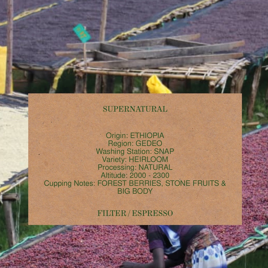 SUPERNATURAL, ETHIOPIA, NATURAL, ORGANIC