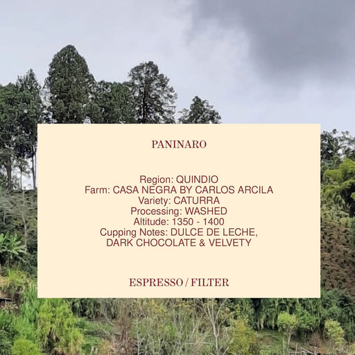 PANINARO, COLOMBIA, WASHED
