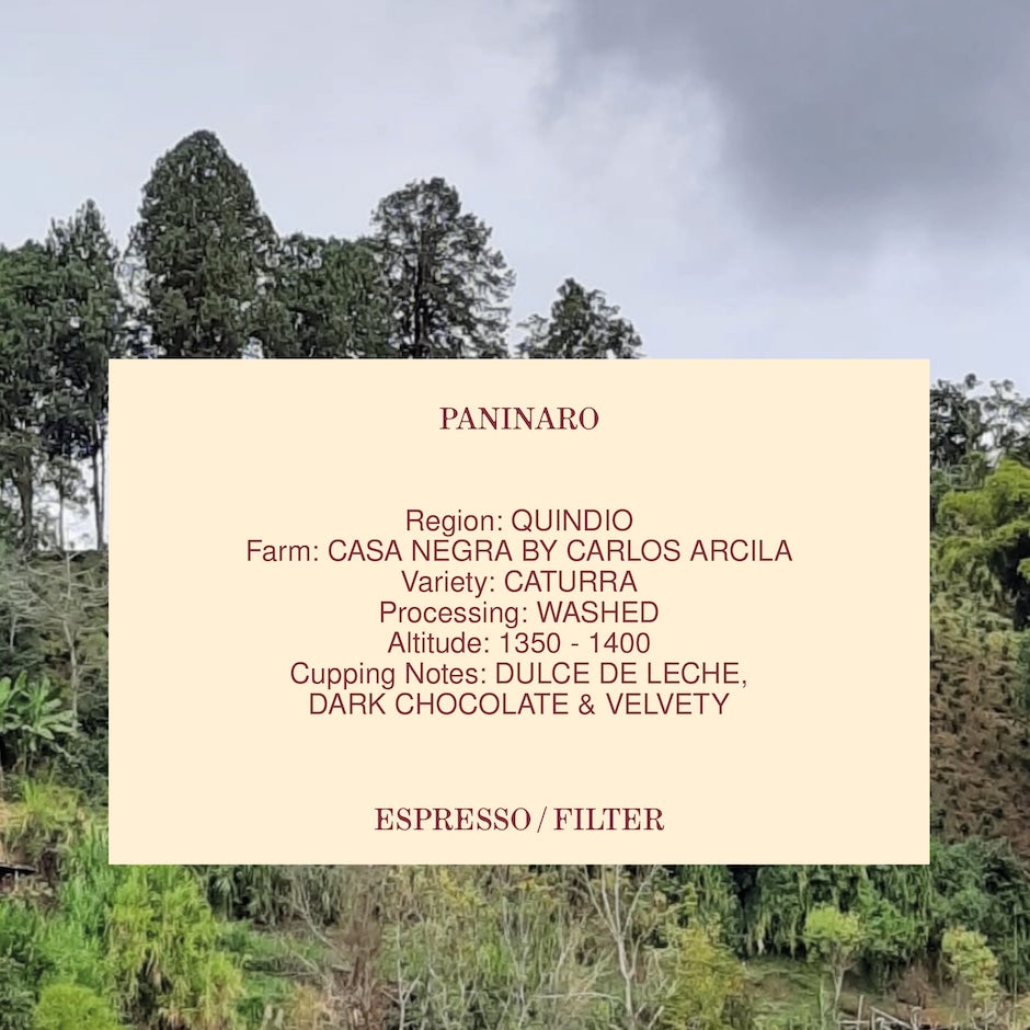 PANINARO, COLOMBIA, WASHED