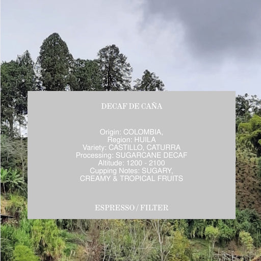 DECAF DE CAÑA, COLOMBIA, SUGARCANE DECAF